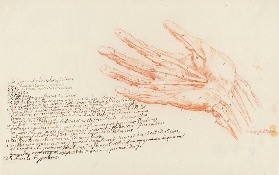 0CE9F852CA9A4CBFAC4D07214FBFA590