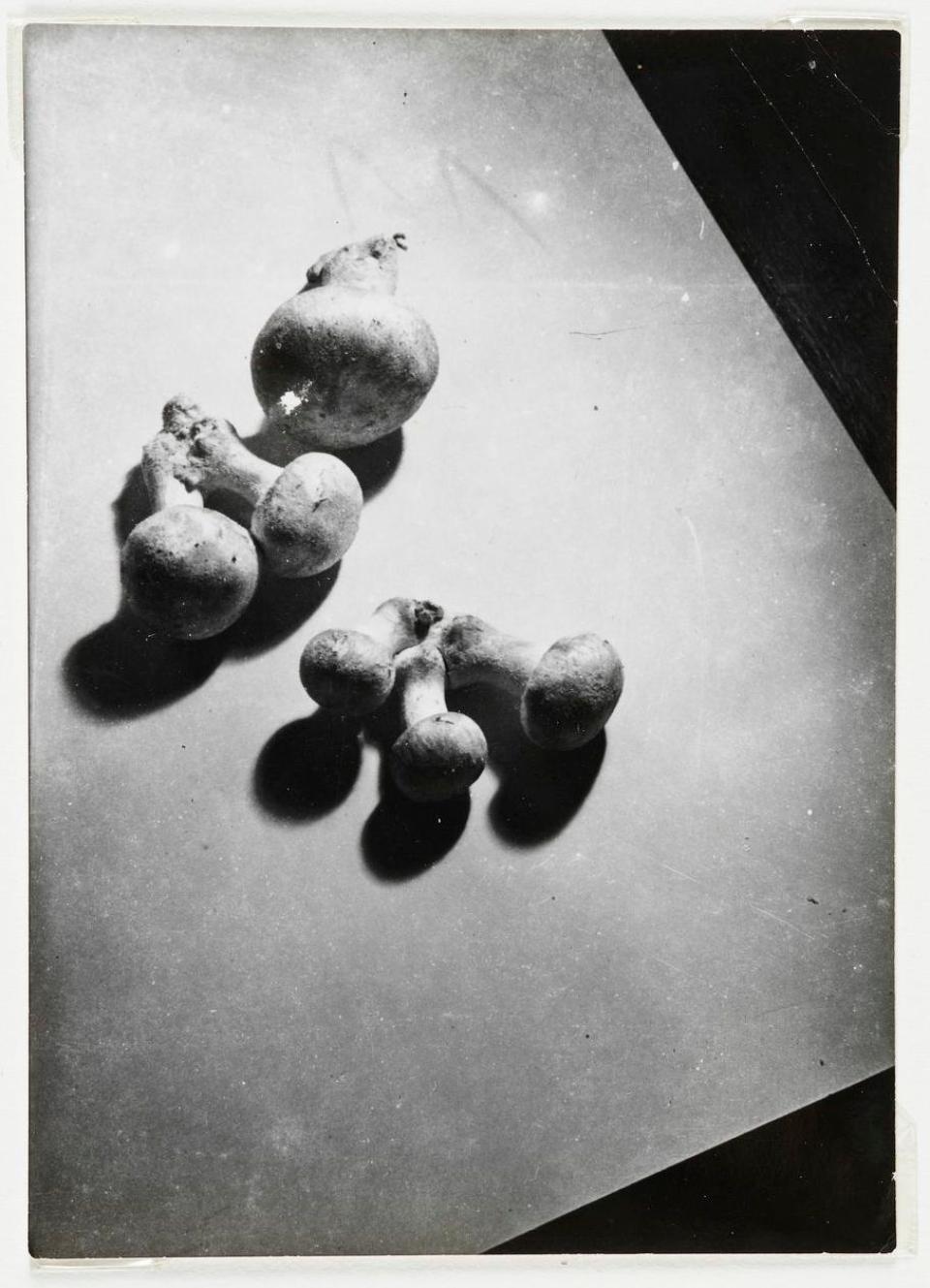 2708ACD2DEDE461C9F6C904F30D3964B