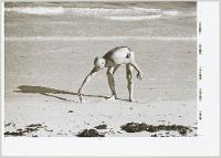 2C02D7EE2213424C8CE4057B545C341F