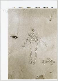 2C02D7EE2213424C8CE4057B545C341F