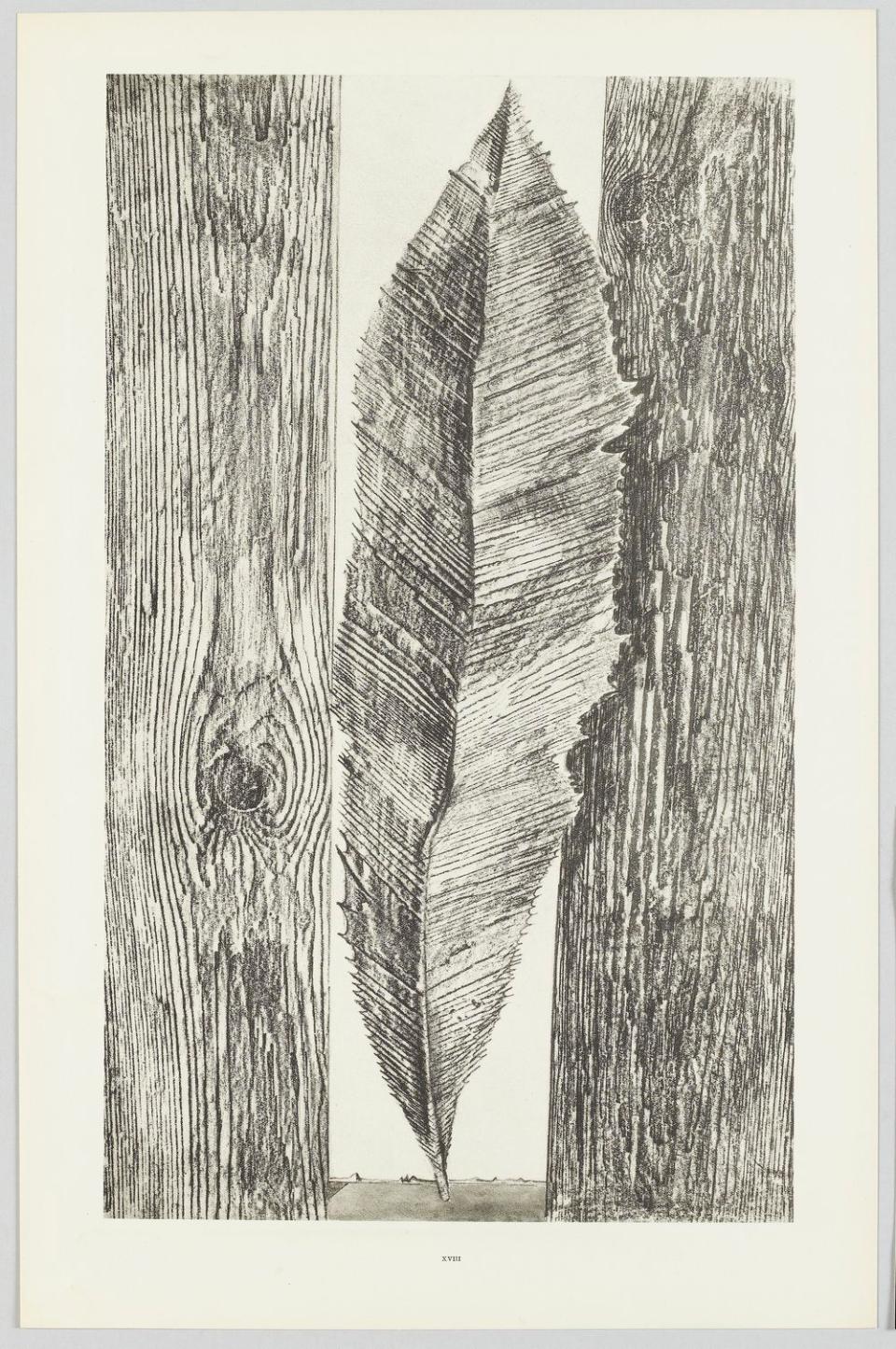 32AF88EE59494333AED499E1E3B6F73C