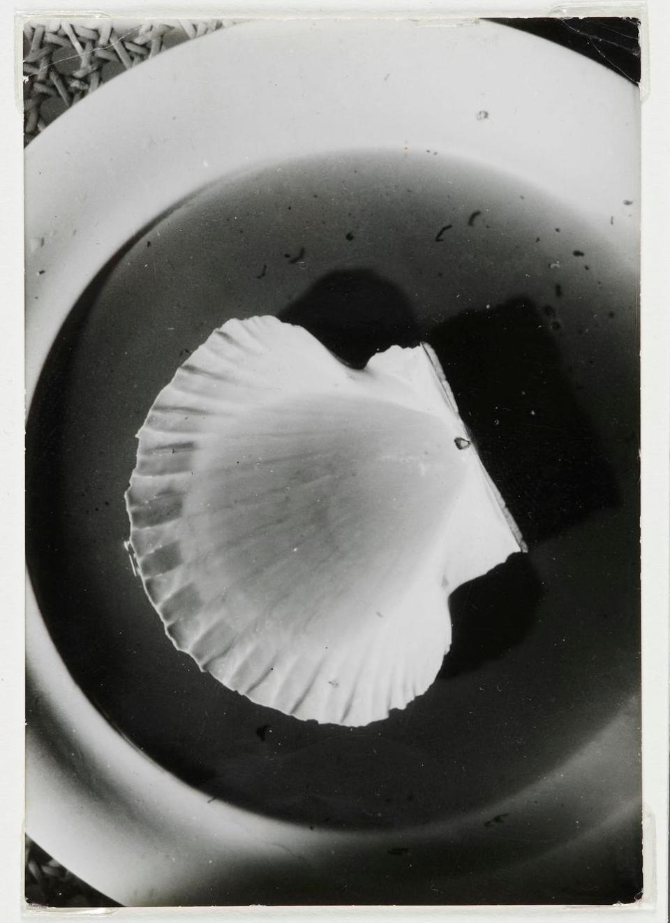 33CB15776F1C4A8488E52D353401FD69