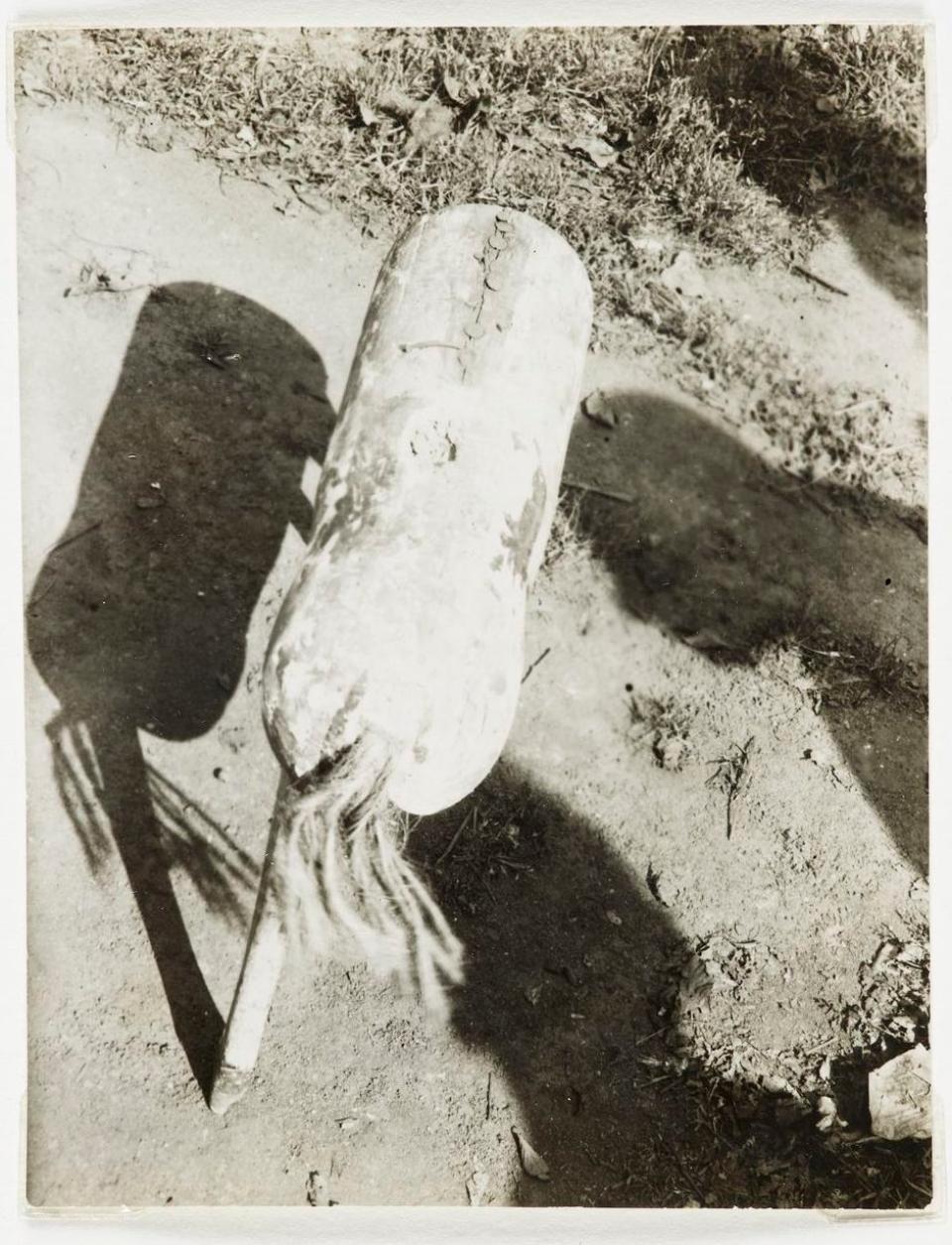 56C1B462C6A949579D16A77EC87A38C1