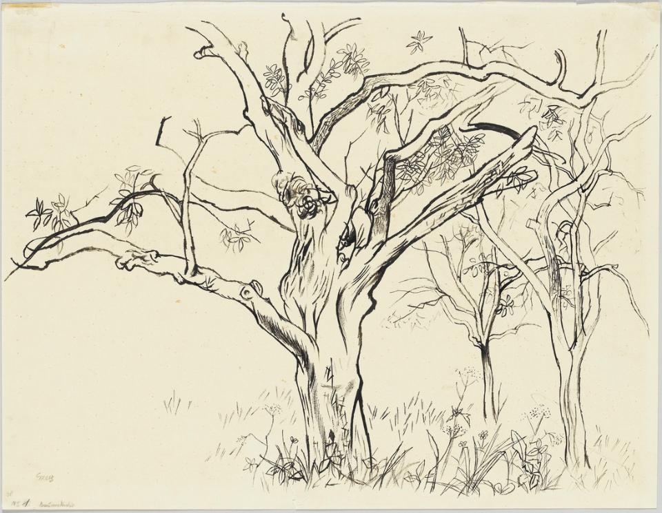 695576F11E8C4A18A733B423C6F51AB3