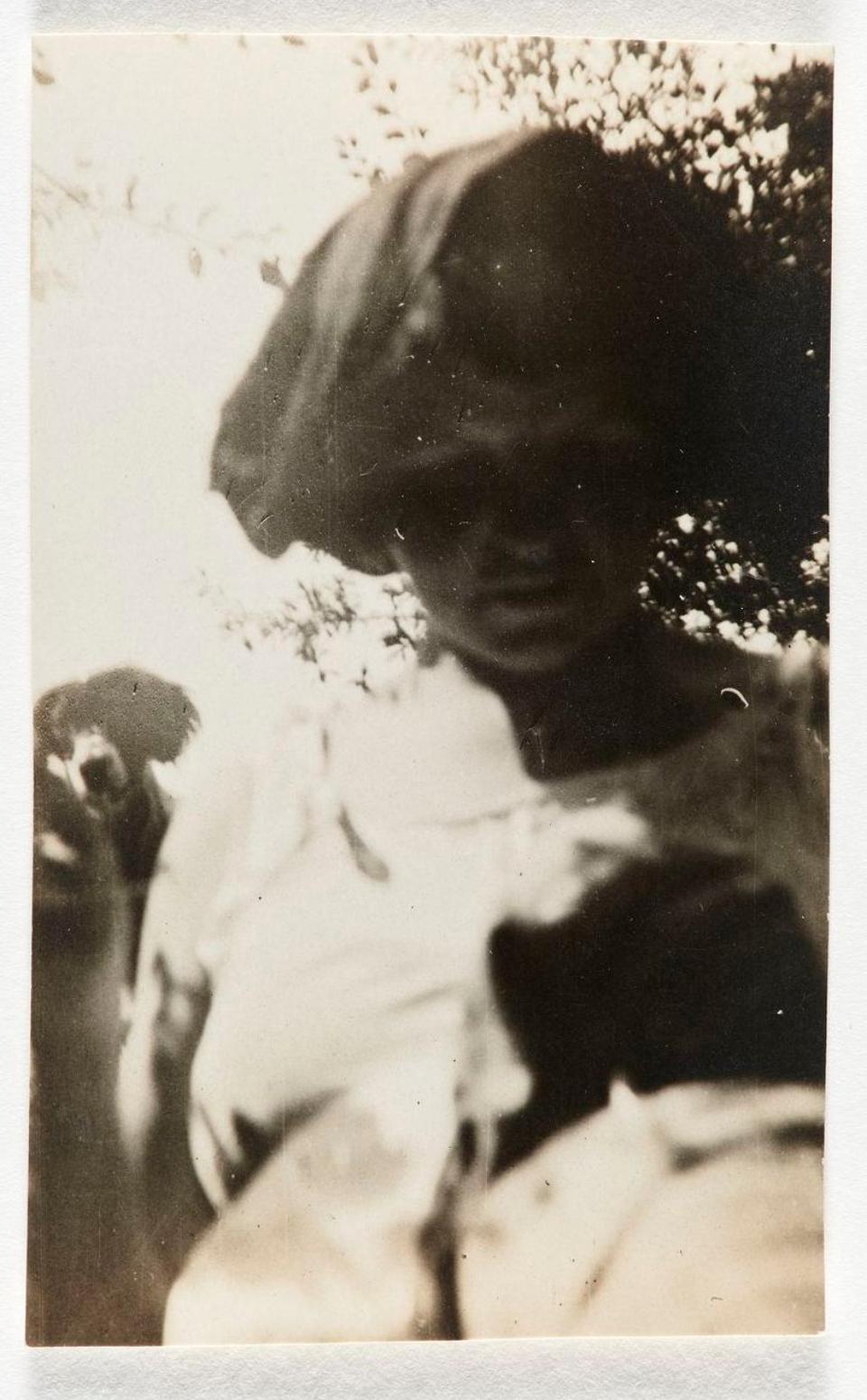 80204BE913894AA3957CF6ED09D83296