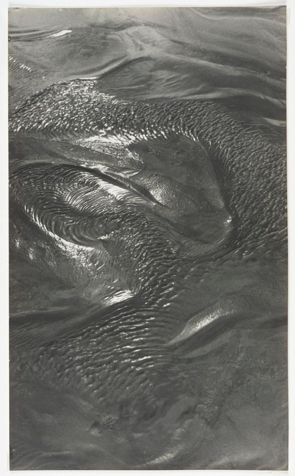 8286F73C5A4B4A22978850E67FBEFEF5