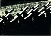 85258ADAD6014EFEB3482069AEEEB19B