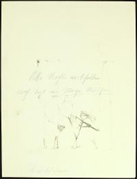 A12DB0318FF44B76AE3F5F18134030CB