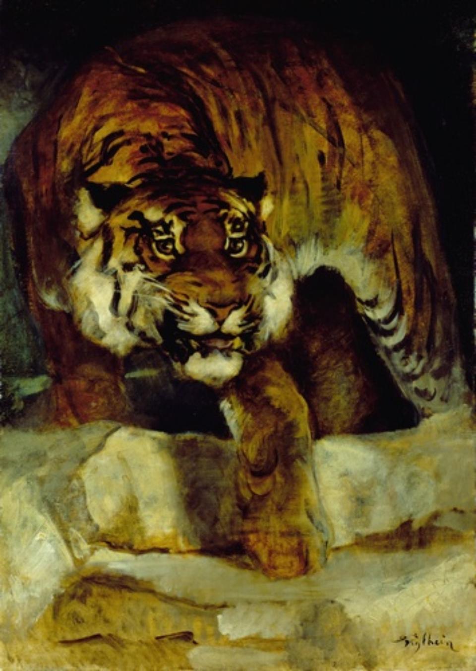 Königstiger | Staatsgalerie