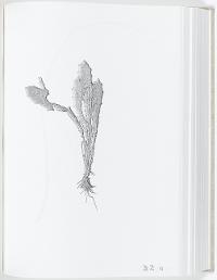AF8333B19AEE44348681570FF6740632