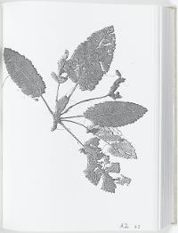 AF8333B19AEE44348681570FF6740632
