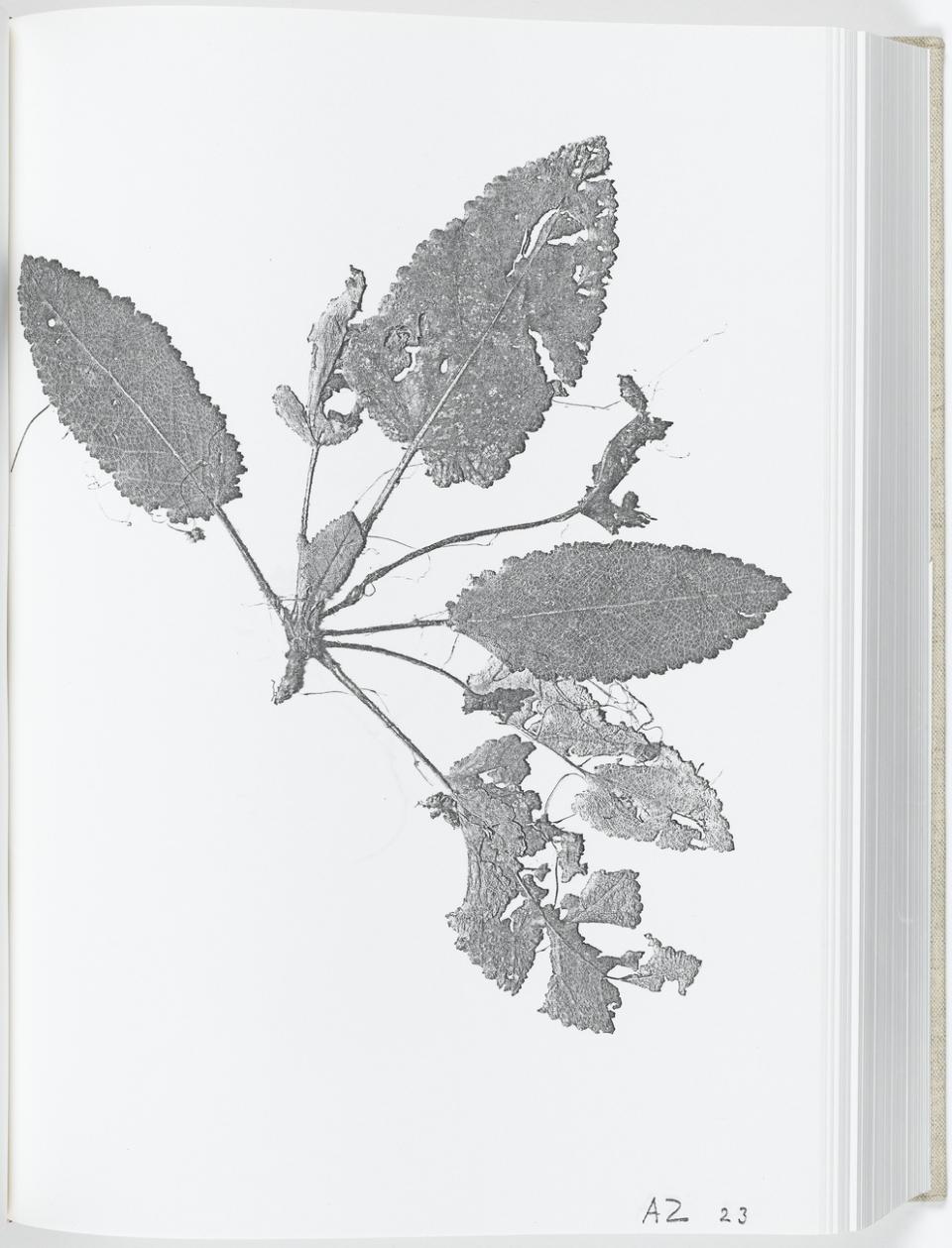 AF8333B19AEE44348681570FF6740632