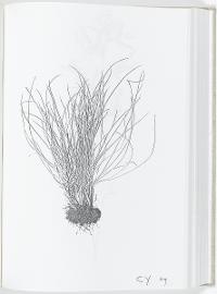 AF8333B19AEE44348681570FF6740632