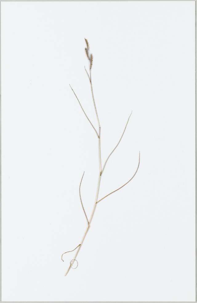 Ohne Titel (noname or no name) Staatsgalerie