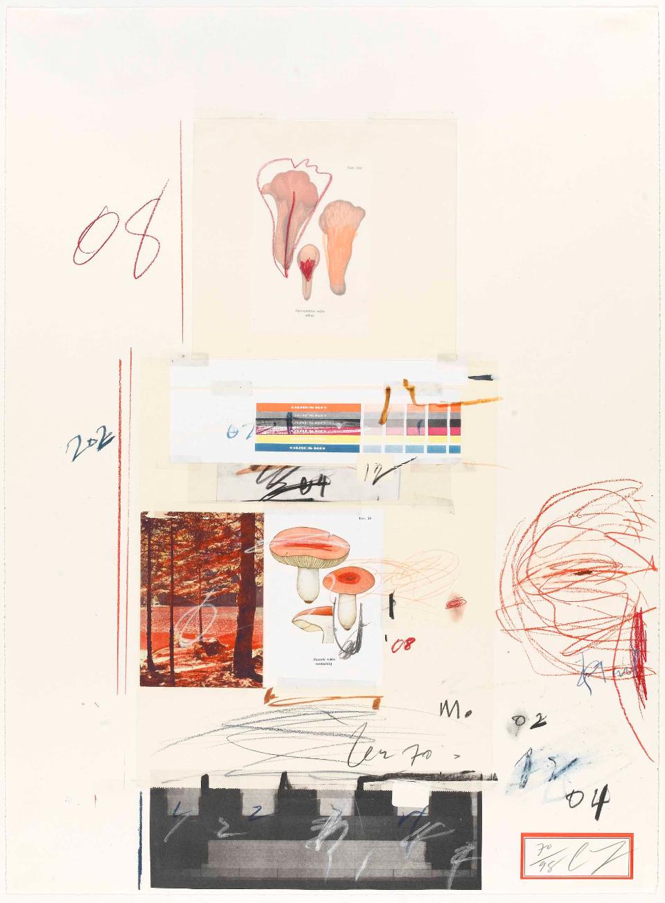 C5E6E36BF01445B39ECF8A2CC829945B